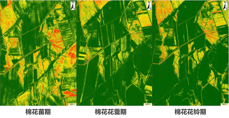 作物长势