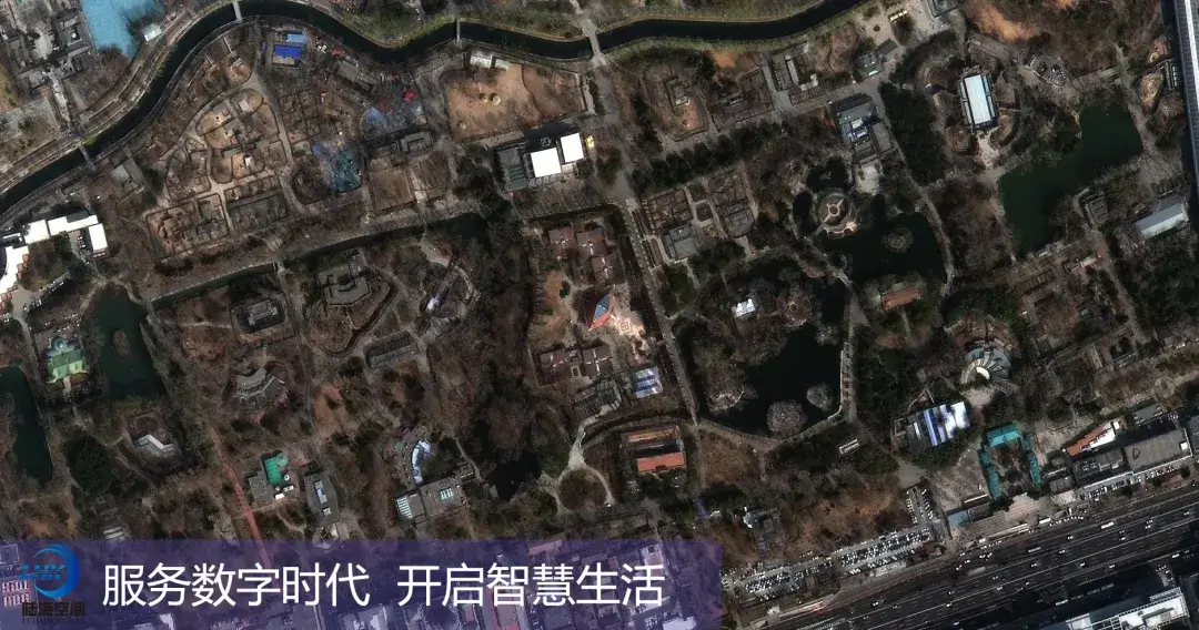 Beijing Zoo